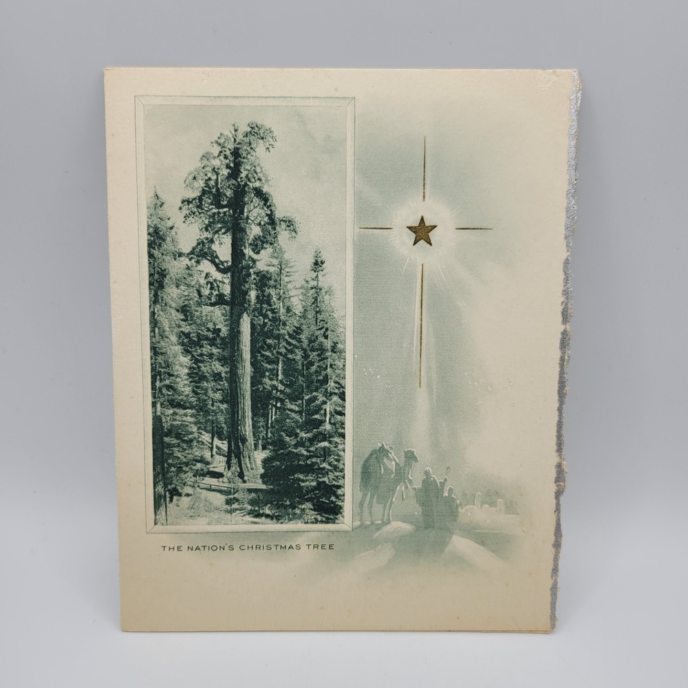 Vintage Christmas Card Nation's Tree Badger Lumber Holiday‎ Wishes